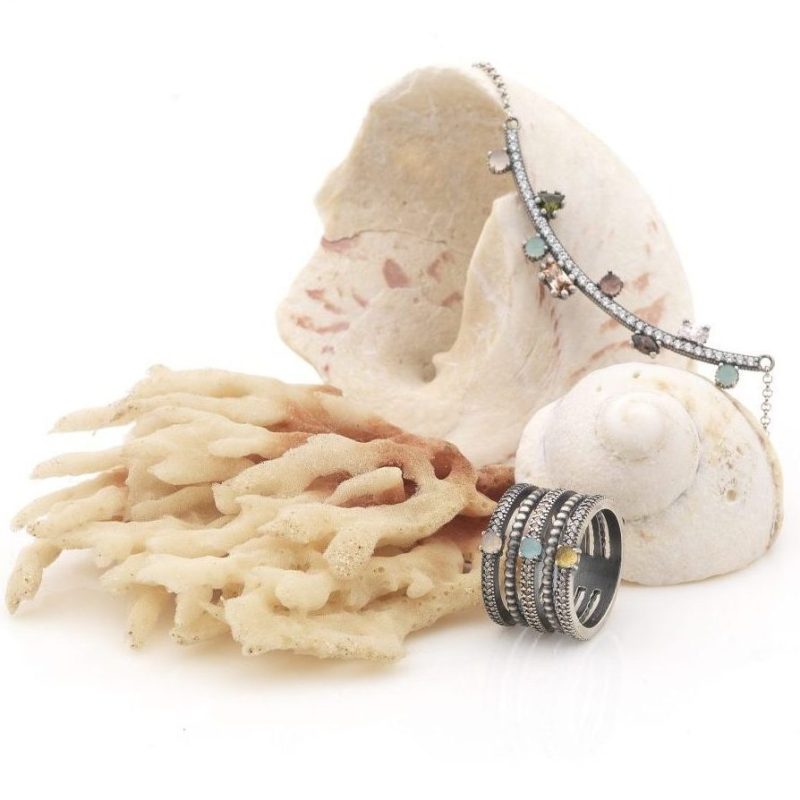 Sunfield_2822-2-e1729073504805