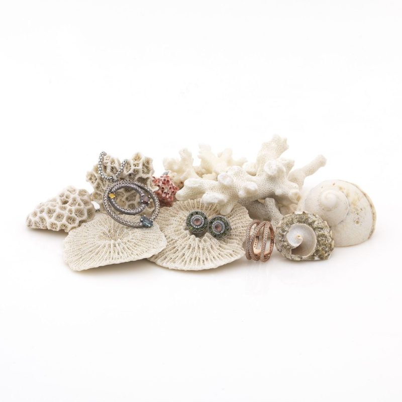 Sunfield_2828_REDUCIDO-e1729076313678