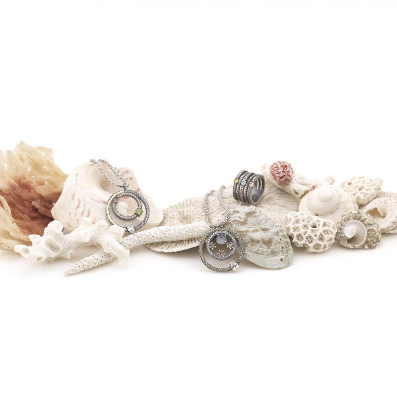 Sunfield_2832_REDUCIDO-e1729073445805