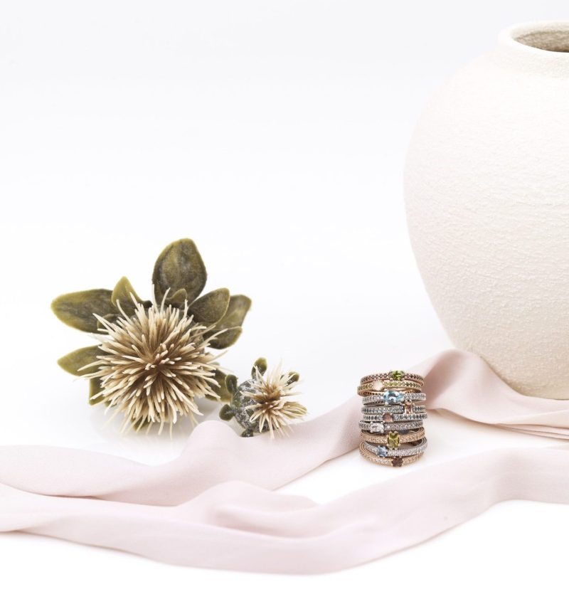 Sunfield_2838-e1695025266546