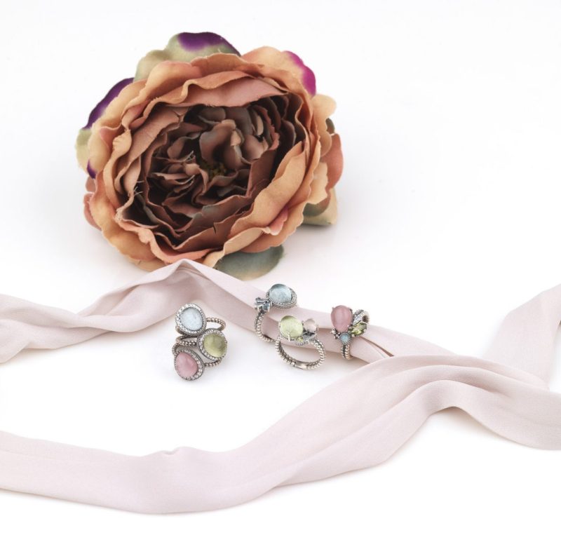 Sunfield_2841-e1695027052423